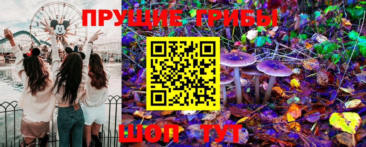 Галлюциногенные грибы GOLDEN TEACHER  Псилоцибиновые грибы Magic Shrooms  Вход с VPN  Тольятти 